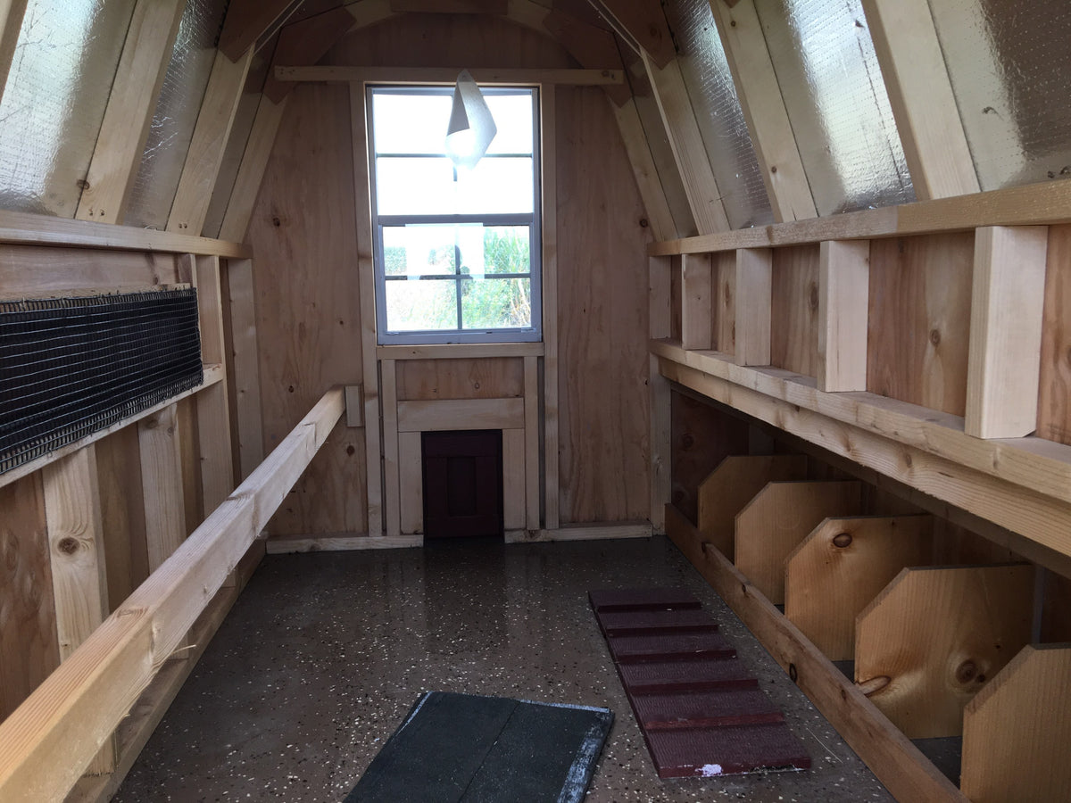 IMG_0338_1200x1200.jpg?v=